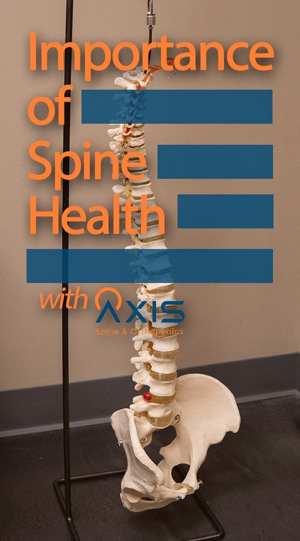 Importance of Spine Health