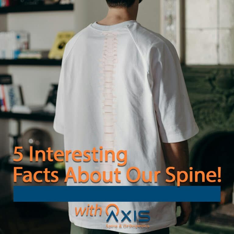 5 Interesting Facts About Spine's